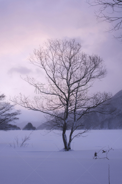 黎明,秋元湖,自然,垂直画幅,地形,雪,无人,早晨,户外,两极气候
