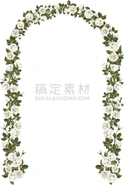 拱门,白色,攀缘玫瑰,婚礼,树木造型,公园,边框,绘画插图,夏天,大门