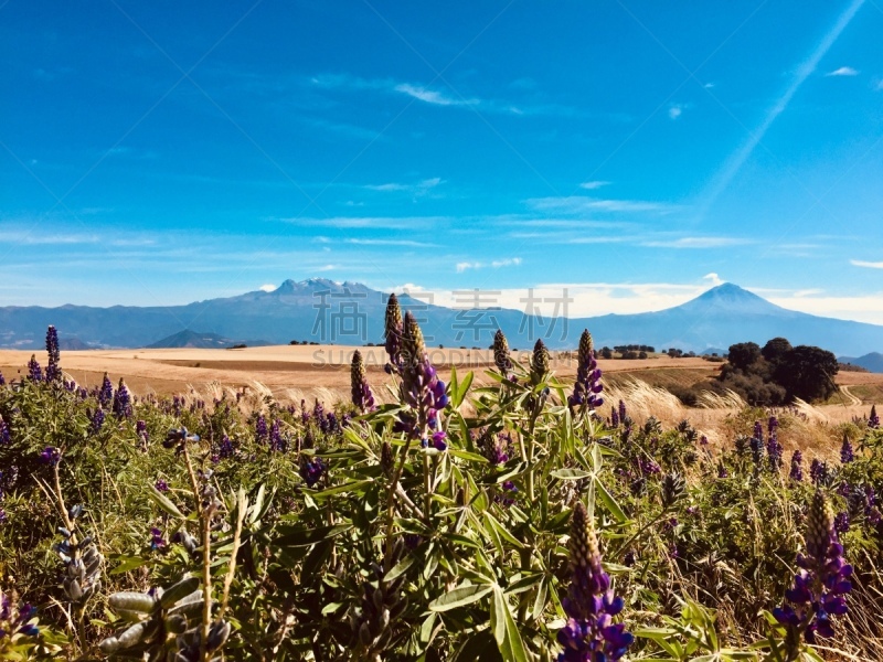 波波卡特佩特火山,拉丁美洲,风景,图像,墨西哥,活火山,墨西哥城,著名景点,无人,户外