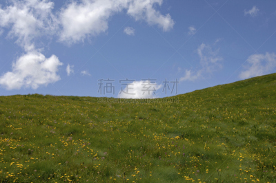 普雷达佐,天空,绿色,云,意大利,晴朗,瓦尔迪飞摩,水平画幅,无人,草坪