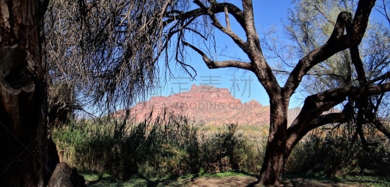 tonto national forest,仙人掌,湖,盐河,沙漠,河流,岩石,户外,沙漠绿洲,自然