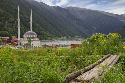 都市风景,崔比逊,土耳其,在上面,山庄,长湖,黑海,水,水平画幅,无人