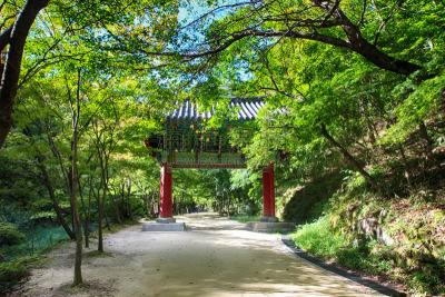 韩国,路,山,国内著名景点,季节,风景,图像,无人,朝鲜半岛,夏天
