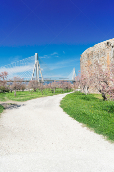 都市风景,佩特雷,桥,里约热内卢,电缆,垂直画幅,水,天空,无人,运河