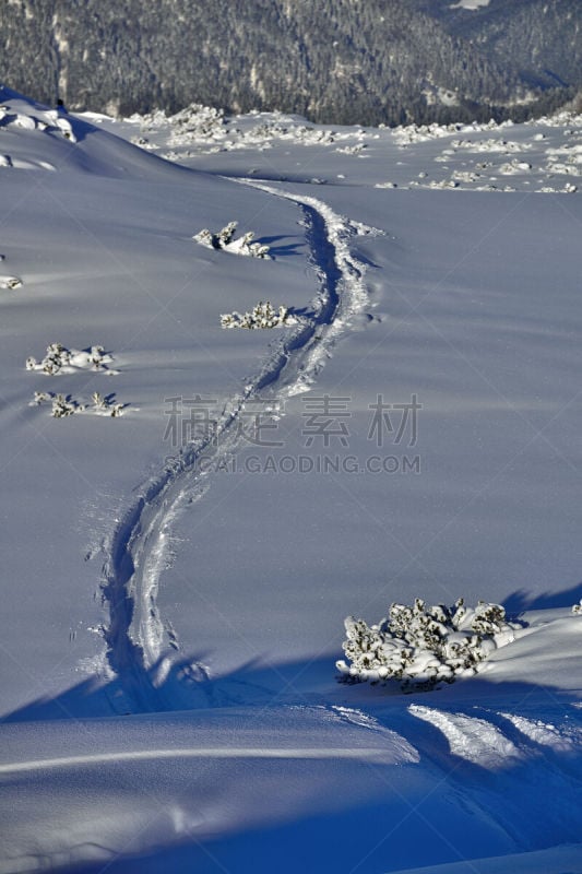 粉末状雪,垂直画幅,寒冷,无人,地形公园,户外,冻结的,林兹,上奥地利州,格蒙登