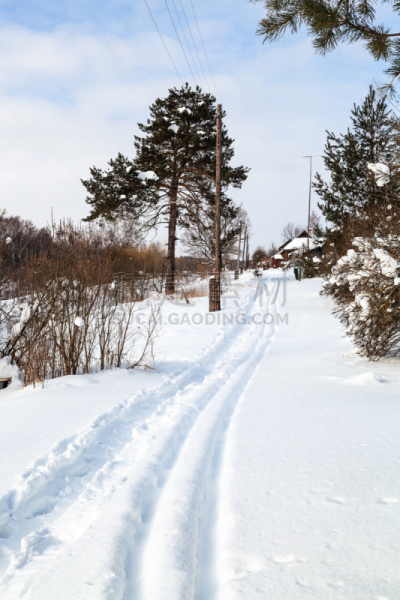 滑雪坡,乡村,小路,小的,斯摩棱斯克,滑雪痕,雪堆,深雪,松科,垂直画幅