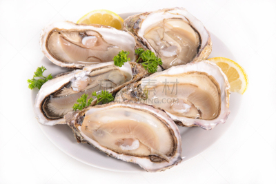 牡蛎,饮食,自助餐,水平画幅,无人,开胃品,膳食,白色背景,背景分离