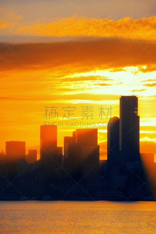 西雅图,垂直画幅,美国,建筑,无人,城市天际线,户外,都市风景,华盛顿州,市区