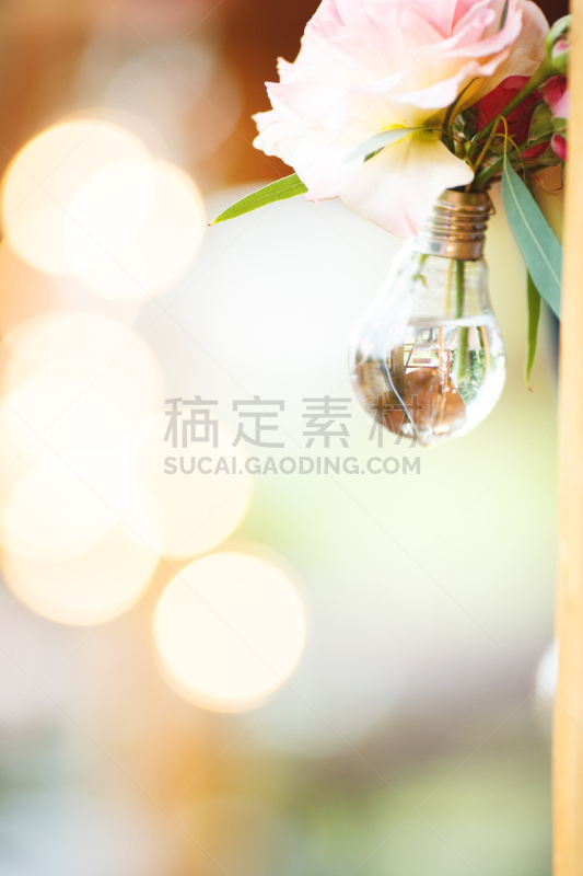 电灯泡,照明设备,爱迪生,热,背景,贞德,背景虚化,电缆,垂直画幅,温度