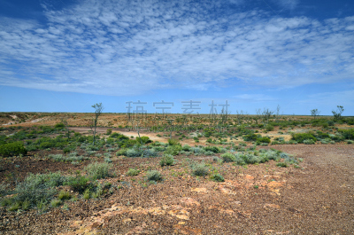 coober pedy,澳大利亚,自然,水平画幅,地形,国际野生物保护公园,无人,野生动物保护区,户外