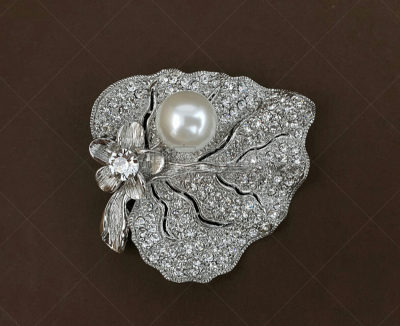 个人随身用品,珠宝,钻石,时尚,闪亮的,胸针,水晶,自然美,女人,设计