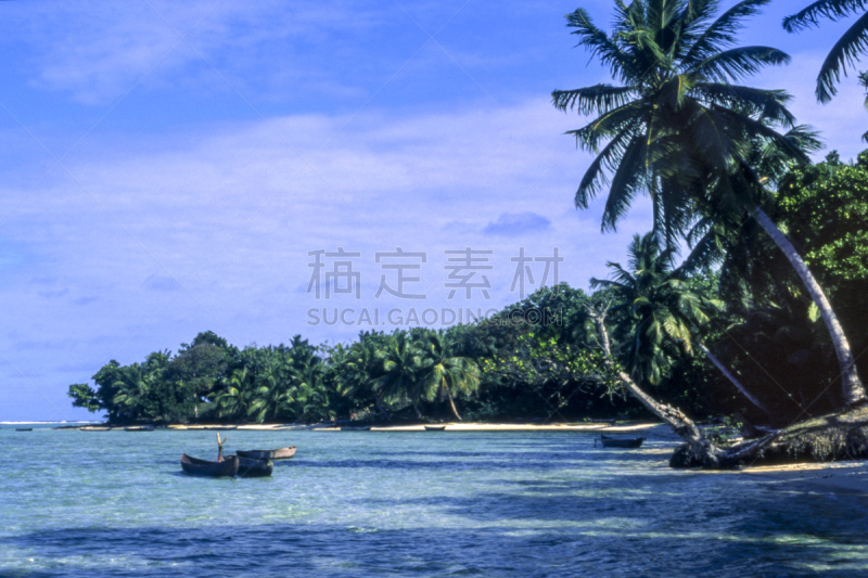 海滩,棕榈树,鸡尾酒,热带气候,1990年-1999年,椰子,印度洋,波浪,泻湖,热带树