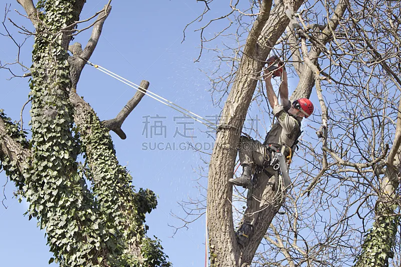 花木匠 链锯 平衡折角灯 胡桃树 汽车起重机 锯屑 工装背带裤 安全绳 尖利 仅男人图片素材下载 稿定素材