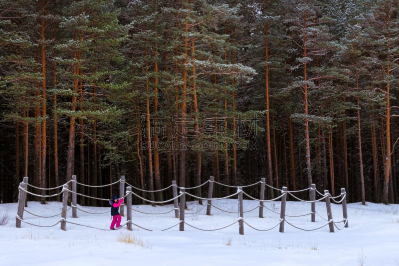 雪,冬天,森林,松树,女孩,旅途,一月,东维鲁县,环境,霜