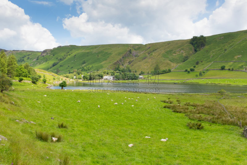 英格兰湖区,坎布里亚,英格兰,夏天,宁静,瓦腾拉斯湖,白昼,瓦德恩拉斯,舍米尔山谷,波路达利