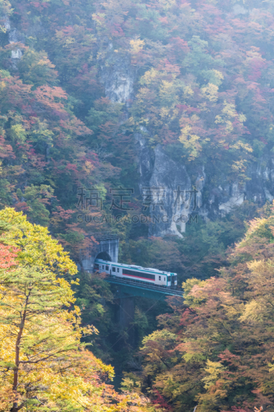 秋天,沟壑,垂直画幅,旅行者,户外,山,大崎市,东北片区,小溪,河流