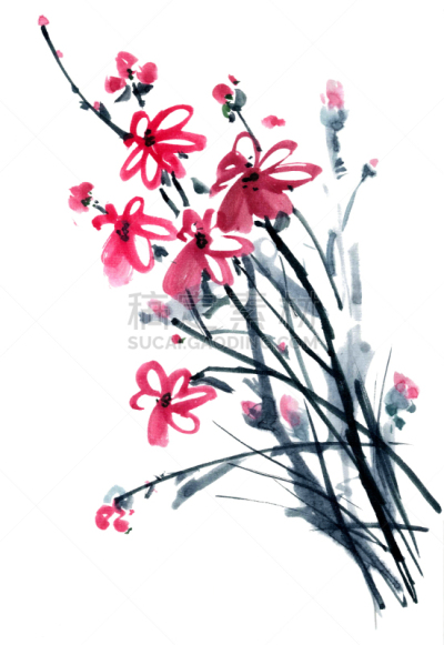 菊花,花束,红松,甘菊花,树苗,星和园,水彩画颜料,一个物体,中国,艺术品