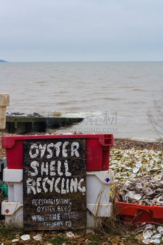 循环利用,牡蛎,whitstable,河口,肯特,自然,垂直画幅,水,天空,贝壳