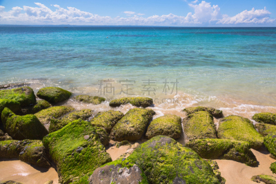 多米尼加共和国,大西洋,海草,岩石,海岸线,有包装的,巴利巴宁,車,海藻灰,泥泞的