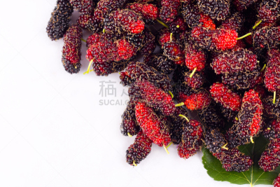 鲣鸟,食品,水果,熟的,黑色,红色,桑椹,白色背景,分离着色