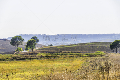 地形,巴西利卡塔大区,农业,波坦察省,巴西利卡塔,小路,农舍,户外,灌木丛,天空