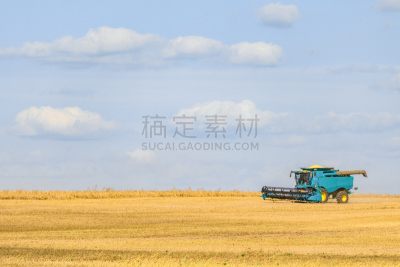 联合收割机,留白,农作物,田地,农业,背景,青绿色,各行各业人员,织机,田赛项目