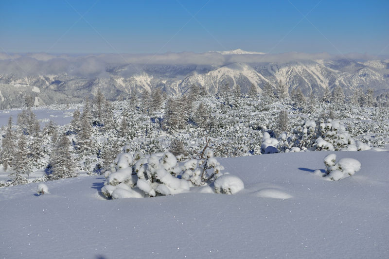 上奥地利州,山,斯太尔,大回转,障碍滑雪赛,速降滑雪,粉末状雪,女人,水平画幅,无人