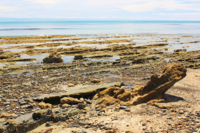 视角,新西兰,cape kidnappers gannet colony,滨水,卷着的,步行道路,石灰石,食盐,hawkes bay region,海岸线