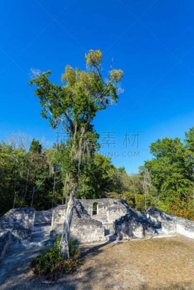 玛雅文明,墨西哥,伯坎,坎佩切湾,著名景点,废墟,户外,雨林,金字塔,建筑
