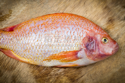 木制,鱼类,背景,水平画幅,巨大的,生食,膳食,海产,动物身体部位,罗非鱼