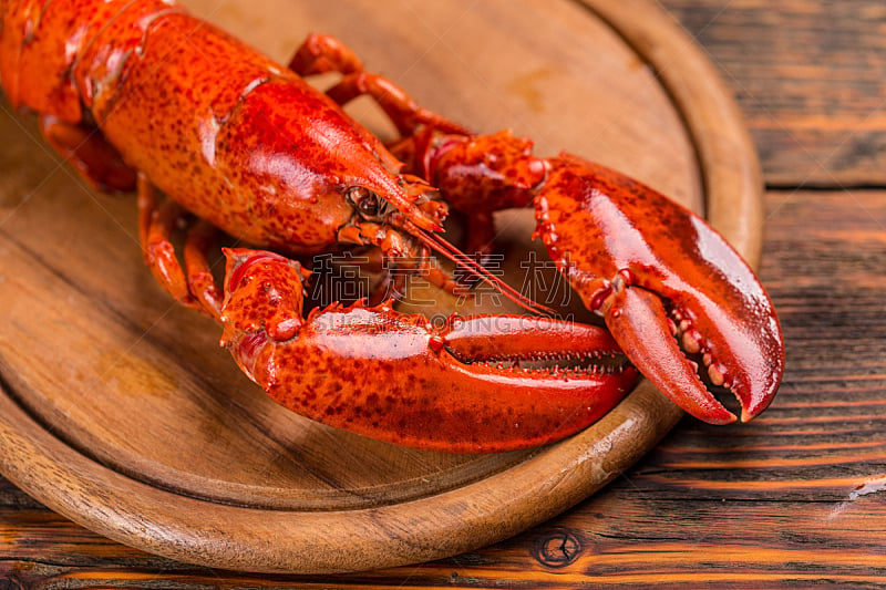 煮食,龙虾,水平画幅,木制,膳食,海产,红色,螃蟹,华贵,2015年