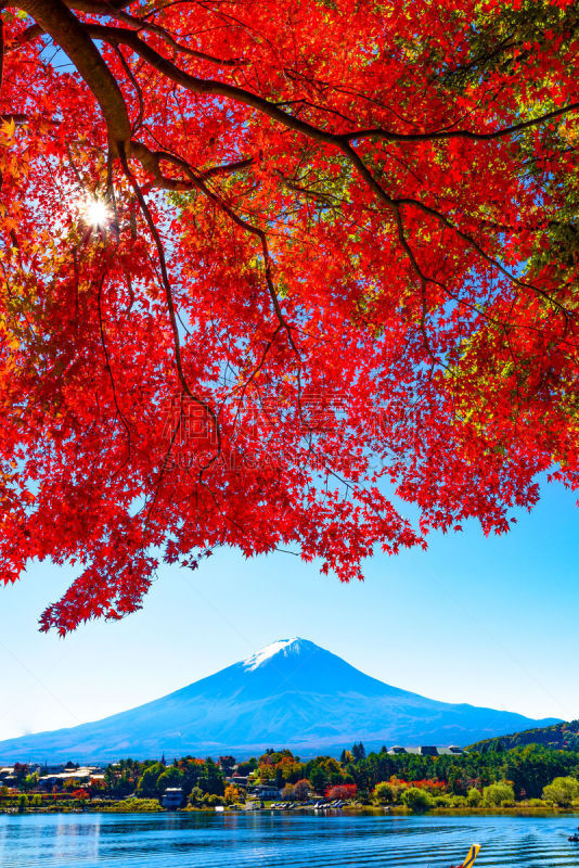 秋天,富士山,山,东京,地形,河口湖,富士河口湖,日本,风景,山梨县