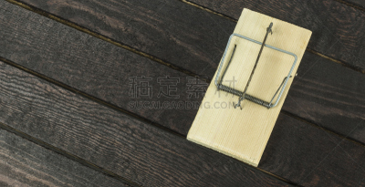 捕鼠器,木制,水平画幅,老鼠,无人,乌兹别克斯坦,风险,奶酪,陷阱,金属