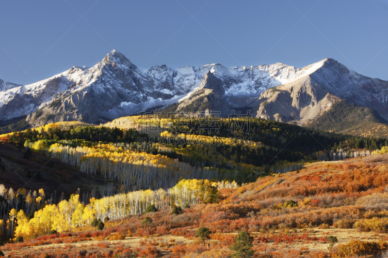 uncompahgre national forest,科罗拉多州,达拉斯市,海登山,斯奈佛尔斯山脉,奥瑞县,白杨类,天空,水平画幅,雪