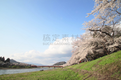 樱花,角馆,自然,水平画幅,樱桃,无人,日本,有机食品,科学,江户时代