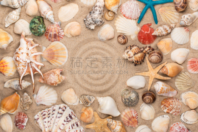 边框,沙子,贝壳,星形,圆形,设计师,太空,水平画幅,无人,夏天