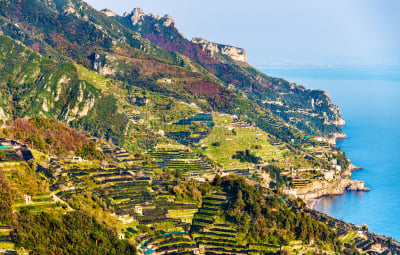 拉韦洛,都市风景,阿玛菲海岸,水,天空,夜晚,旅行者,葡萄园,米诺瑞,城镇