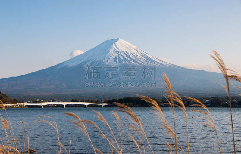 山,富士山,水平画幅,雪,无人,日本,户外,草,雪山,河口湖