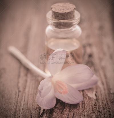 番红花属,藏红花,黄色,垂直画幅,美,无人,电灯泡,特写,花蕾,植物