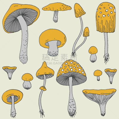 矢量,蘑菇,森林,草图,动物手,伞形毒菌,香菇,素食,绘画插图,墨水