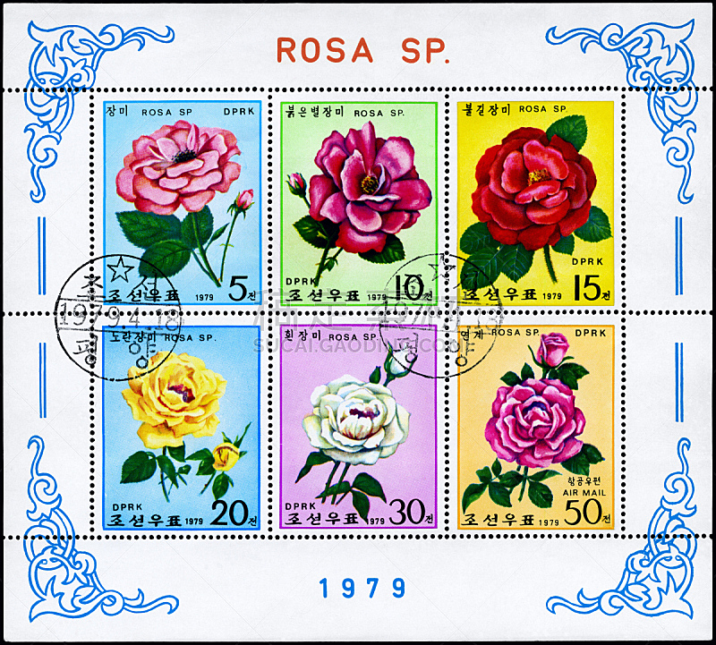 玫瑰,白色,黄色,红色,古老的,粉色,邮戳,床单,图像,收集