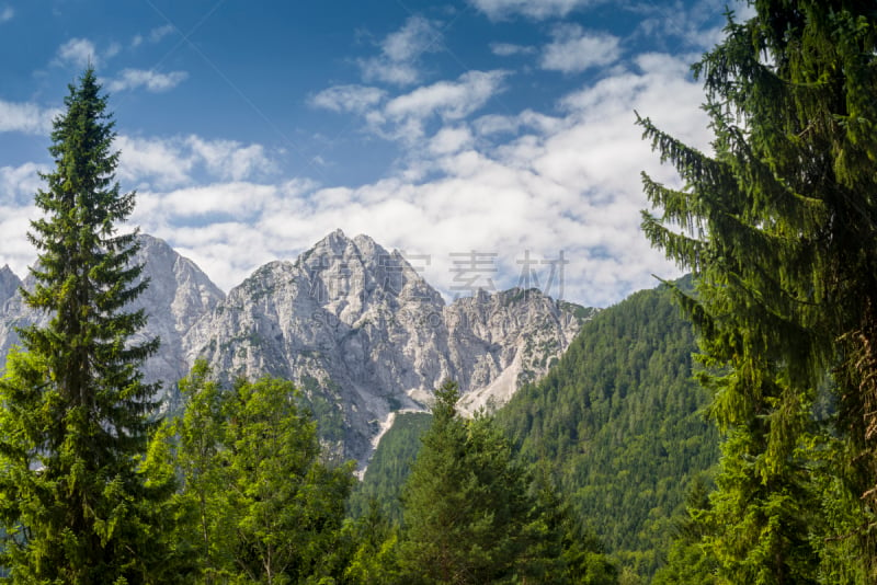 天空,julian alps,山脉,蓝色,风景,在下面,自然,原始森林,林荫大道,云