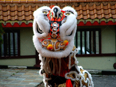 狮子舞蹈,古晋,非凡的,图像,中国,舞蹈,水平画幅,马来西亚,新的,个性