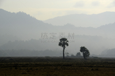 缅甸,亚洲,丹老,自然,田地,丹老群岛,水平画幅,无人,户外,摄影