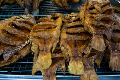 罗非鱼,鱼类,裹面包屑,自然,格子烤肉,水平画幅,膳食,泰国,高级西餐,肉