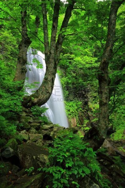 瀑布,夏天,自然,垂直画幅,水,北盐原,福岛里,无人,日本,福岛县