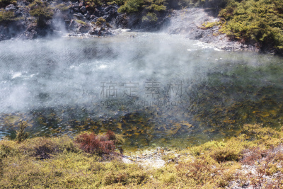 湖,waimangu thermal park,火山,酸,湿,国内著名景点,热,著名景点,炙,植物