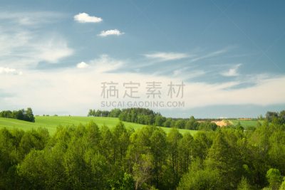 夏天,田地,树林,地形,水平画幅,苔藓,户外,草,植物,维吉尔希尔