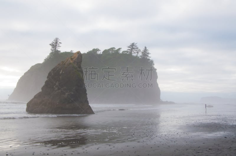 鲁比海滩,华盛顿州,自然美,海岸线,波浪,岩石,户外,自然,风景,图像