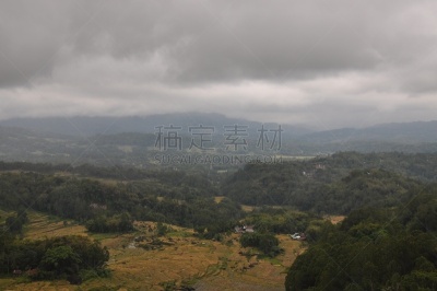 稻,塔纳托拉雅,田地,绿色,农业,热带气候,草,特拉加,稻田,农场